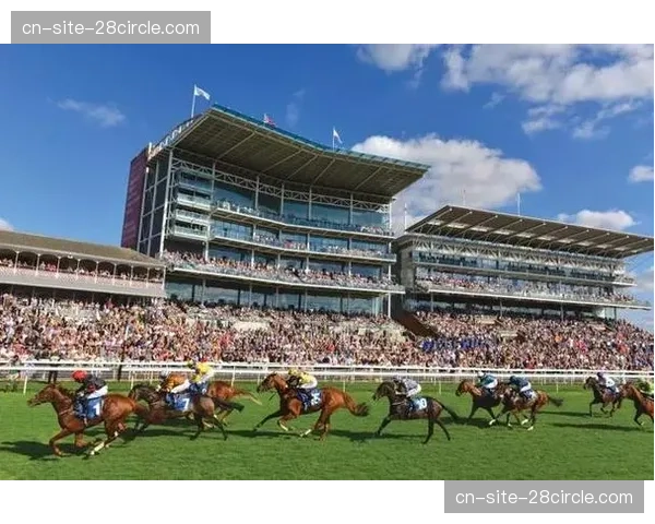 跨区域赛事协同网络逐步成型 促进体育资源要素高效流动